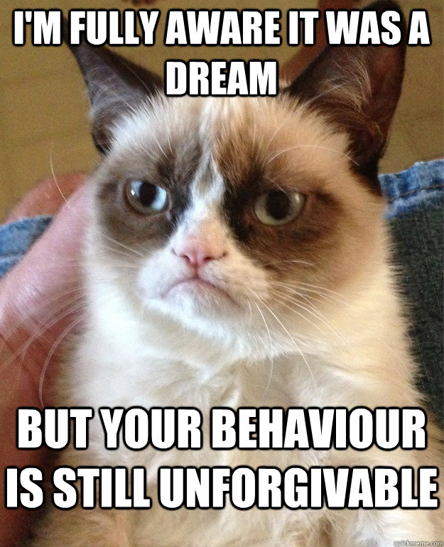 I'm fully aware it was a dream but your behaviour is still unforgivable  Grumpy Cat