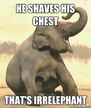 He shaves his chest That's Irrelephant  Irrelephant