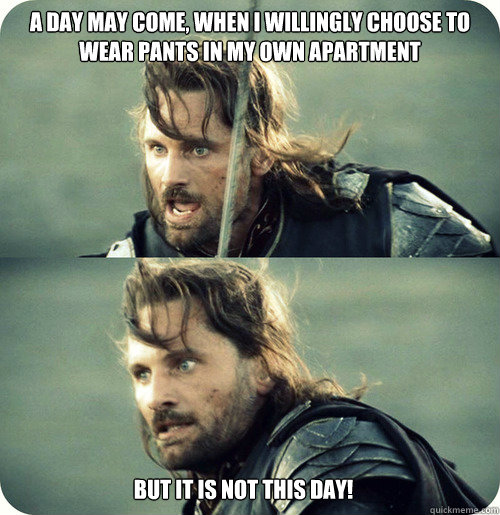 A day may come, when I willingly choose to wear pants in my own apartment  But it is not this day!  Aragorn Inspirational Speech