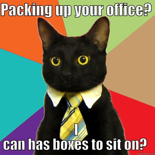 PACKING UP YOUR OFFICE?  I CAN HAS BOXES TO SIT ON?  Business Cat