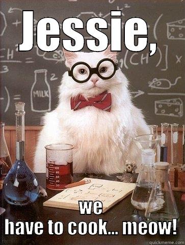 JESSIE, WE HAVE TO COOK... MEOW! Chemistry Cat