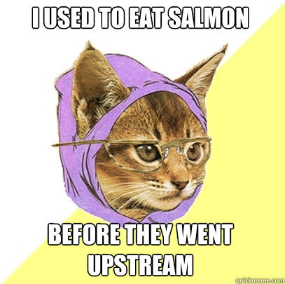 i used to eat salmon before they went upstream  Hipster Kitty