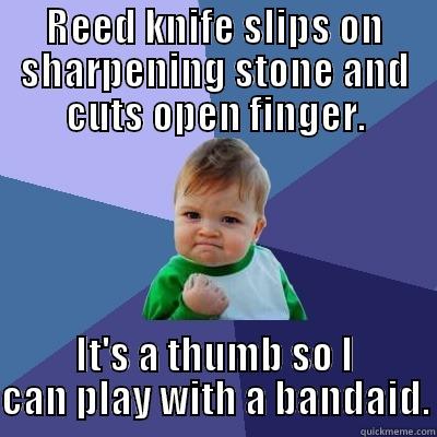 knife slip - REED KNIFE SLIPS ON SHARPENING STONE AND CUTS OPEN FINGER. IT'S A THUMB SO I CAN PLAY WITH A BANDAID. Success Kid