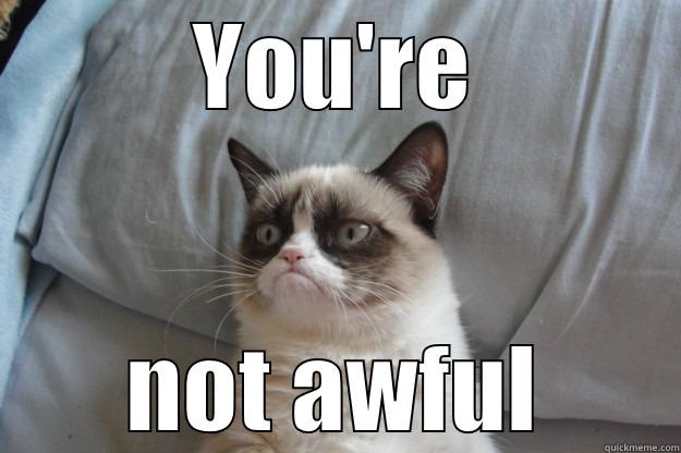 YOU'RE NOT AWFUL Grumpy Cat