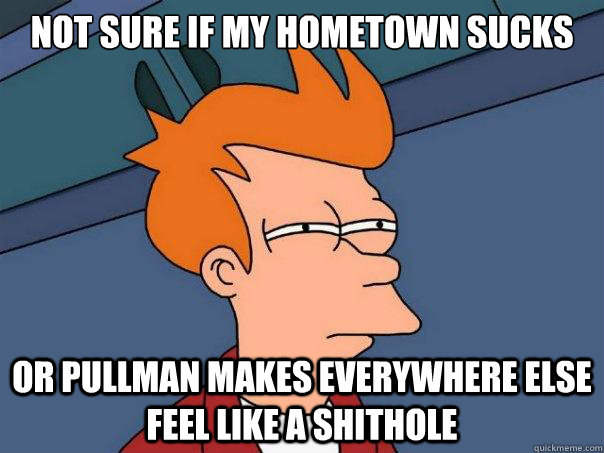 Not sure if my hometown sucks Or Pullman makes everywhere else feel like a shithole    Futurama Fry