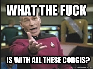 What the fuck is with all these corgis?  Annoyed Picard