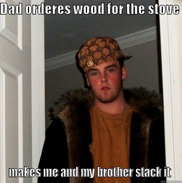 DAD ORDERES WOOD FOR THE STOVE  MAKES ME AND MY BROTHER STACK IT Scumbag Steve