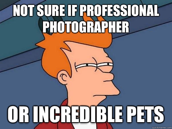 Not sure if professional photographer  Or incredible pets   Futurama Fry