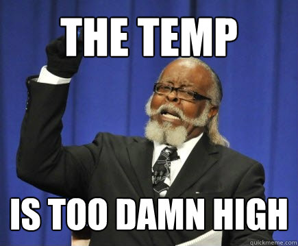 The temp is too damn high - The temp is too damn high  Too Damn High