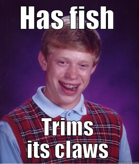 This freaking guy - HAS FISH TRIMS ITS CLAWS Bad Luck Brian