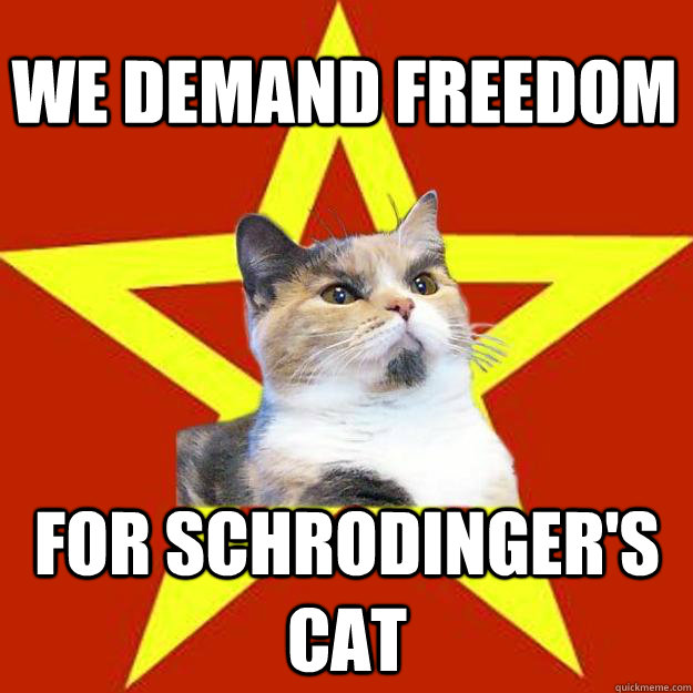 We demand freedom  for schrodinger's cat - We demand freedom  for schrodinger's cat  Lenin Cat