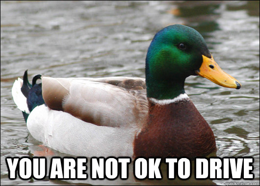 YOU ARE NOT OK TO DRIVE - YOU ARE NOT OK TO DRIVE  Actual Advice Mallard