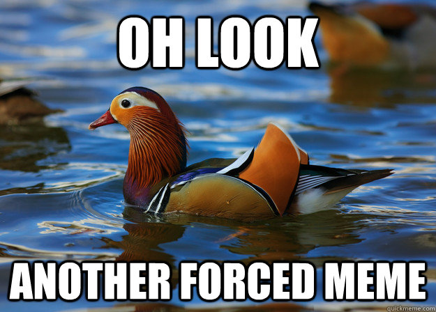 Oh look Another forced meme  Fashion Advice Mallard