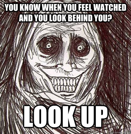 You know when you feel watched and you look behind you? Look up - You know when you feel watched and you look behind you? Look up  Horrifying Houseguest