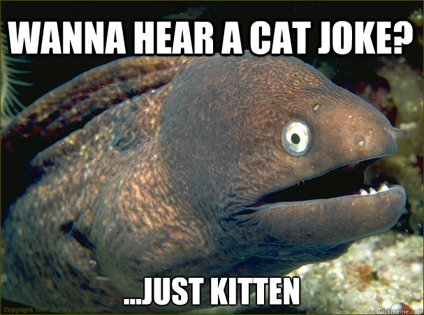 Wanna hear a cat joke? ...just kitten  Bad Joke Eel