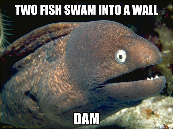 two fish swam into a wall dam  Bad Joke Eel