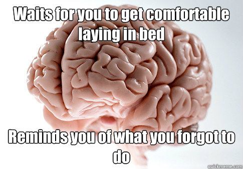 Waits for you to get comfortable laying in bed Reminds you of what you forgot to do - Waits for you to get comfortable laying in bed Reminds you of what you forgot to do  Scumbag Brain