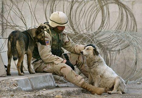 soldier dog -  “THE WORLD BREAKS EVERY ONE AND AFTERWARD MANY ARE STRONG AT THE BROKEN PLACES.” ― ERNEST HEMINGWAY, A FAREWELL TO ARMS Misc