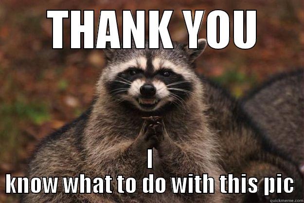  THANK YOU I KNOW WHAT TO DO WITH THIS PIC Evil Plotting Raccoon