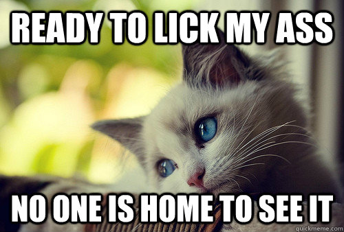 Ready to lick my ass no one is home to see it  First World Problems Cat