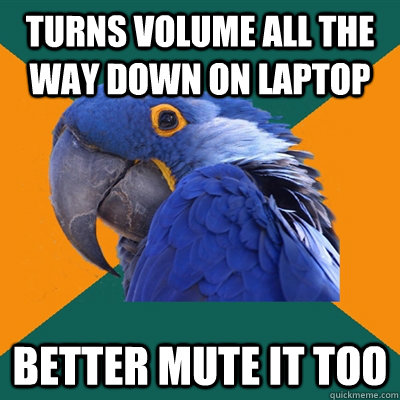 Turns volume all the way down on laptop better mute it too  Paranoid Parrot