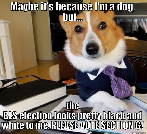 MAYBE IT'S BECAUSE I'M A DOG, BUT... THE BLS ELECTION LOOKS PRETTY BLACK AND WHITE TO ME, PLEASE VOTE SECTION C! Lawyer Dog