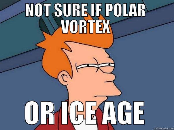 NOT SURE IF POLAR VORTEX OR ICE AGE Futurama Fry