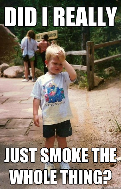 Did I really just smoke the whole thing?  Regretful Toddler