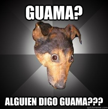 Guama? Alguien digo guama???  Depression Dog