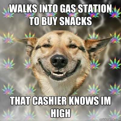 walks into gas station to buy snacks that cashier knows im high  Stoner Dog