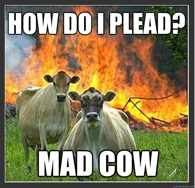 How do i plead? mad cow
  Evil cows