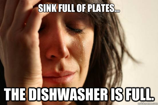 Sink full of plates... The dishwasher is full.  First World Problems