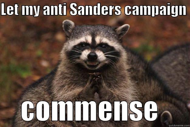 LET MY ANTI SANDERS CAMPAIGN  COMMENCE  Evil Plotting Raccoon