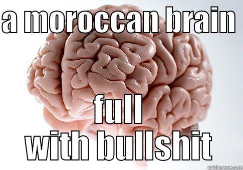 A MOROCCAN BRAIN  FULL WITH BULLSHIT Scumbag Brain