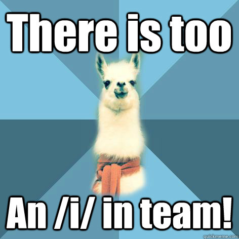 There is too An /i/ in team!  Linguist Llama