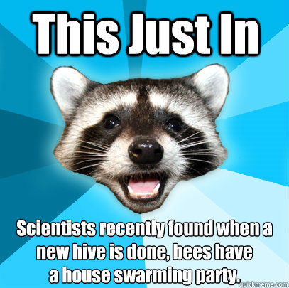 This Just In Scientists recently found when a new hive is done, bees have 
a house swarming party.  Lame Pun Coon