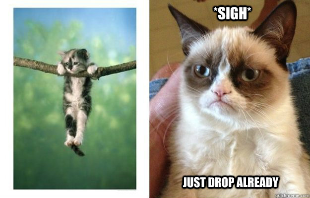 *sigh* just drop already  hang in there cat vs grumpy cat