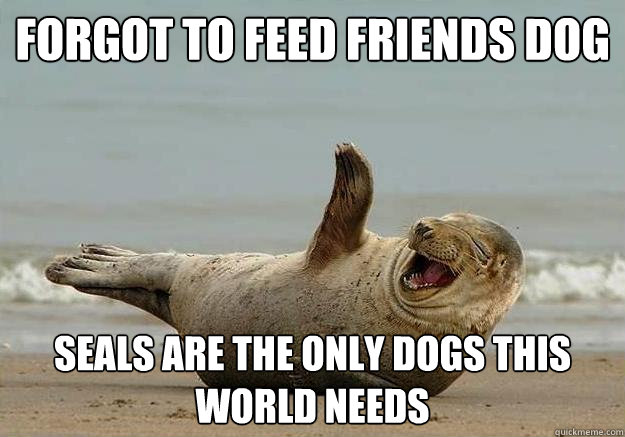 Forgot to feed friends dog Seals are the only dogs this world needs  Seal of Approval