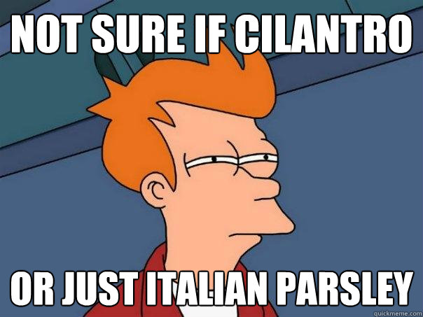 Not sure if cilantro or just italian parsley  Futurama Fry