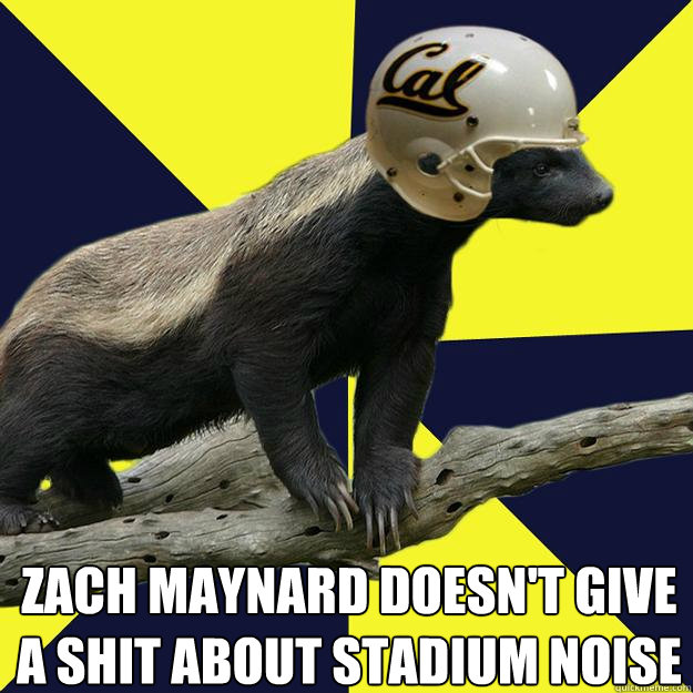 zach maynard doesn't give a shit about stadium noise  