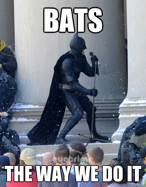 bats the way we do it  Karaoke Batman