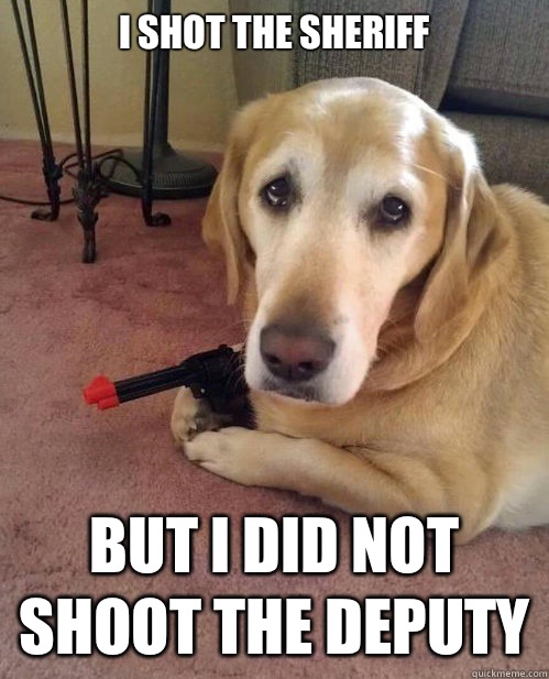 I shot the sheriff But I did not shoot the deputy - I shot the sheriff But I did not shoot the deputy  Confession Hound