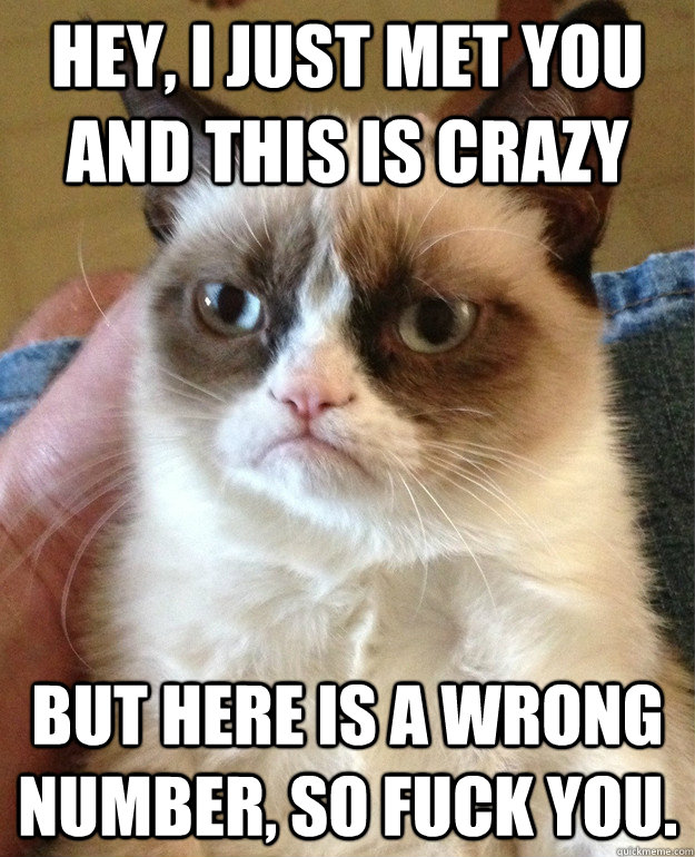 Hey, I just met you and this is crazy but here is a wrong number, so fuck you.   Grumpy Cat