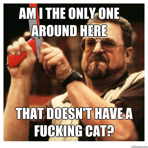 Am i the only one around here That doesn't have a fucking cat?   John Goodman