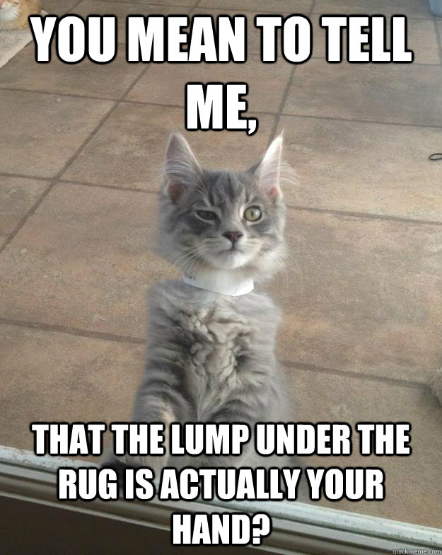 You mean to tell me, That the lump under the rug is actually your hand? - You mean to tell me, That the lump under the rug is actually your hand?  Skeptical Kitten