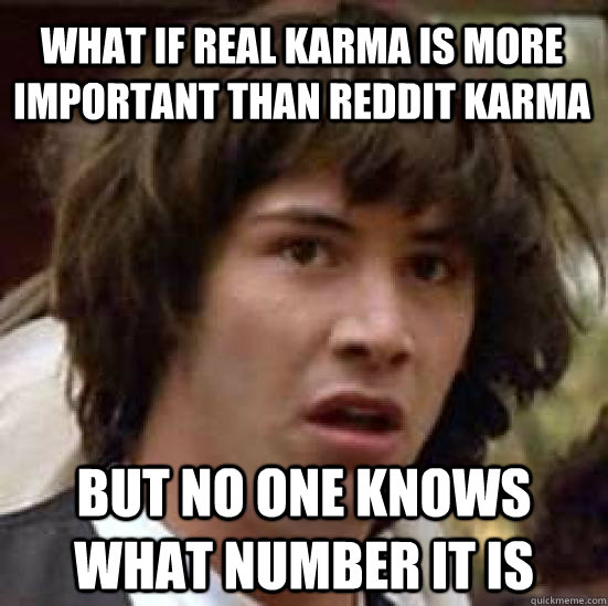 WHAT IF REAL KARMA IS MORE IMPORTANT THAN REDDIT KARMA BUT NO ONE KNOWS WHAT NUMBER IT IS  conspiracy keanu