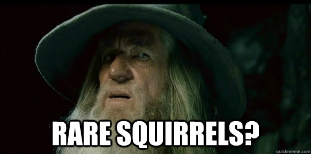  rare squirrels?  I have no memory Gandalf