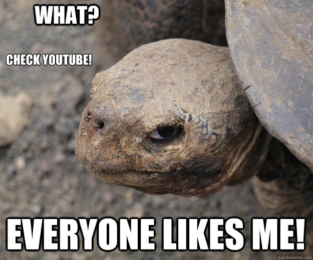 Check YouTube! Everyone likes me! WHAT?  Evil Eye Turtle