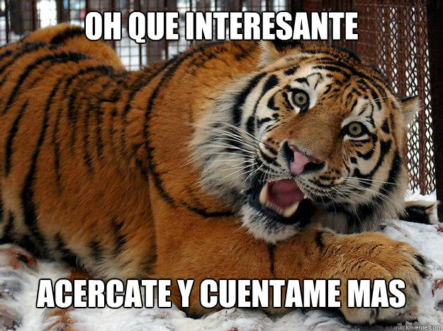 OH QUE INTERESANTE ACERCATE Y CUENTAME MÁAS  Fascinated Tiger