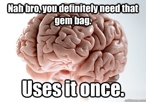 Nah bro, you definitely need that gem bag. Uses it once.  Scumbag Brain